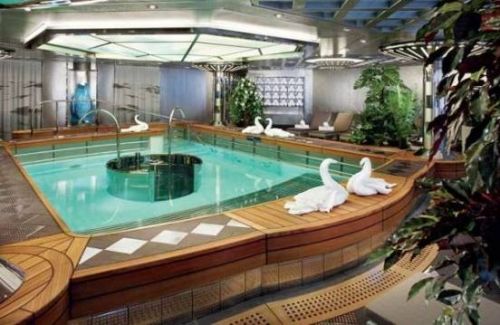 ms Nieuw Amsterdam - ms Nieuw Amsterdam-918083