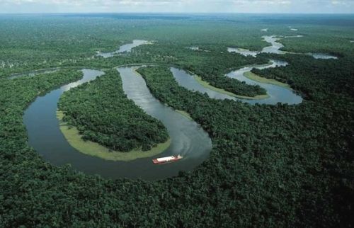 Amazon Nehri, Brezilya