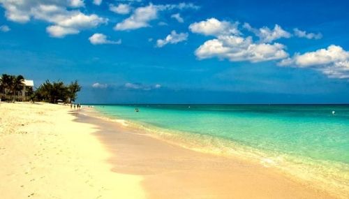 Amber Cove, Donimik Cumh.