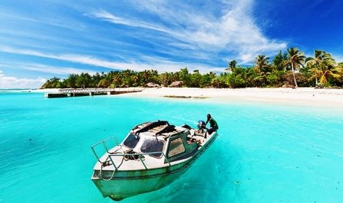 Mystery Island, Vanutau