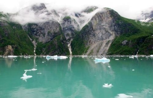 Tracy Arm Fiyort