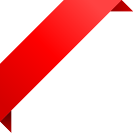 Disney Wish ile Bayram'da Karayipler (Uçaklı Paket)